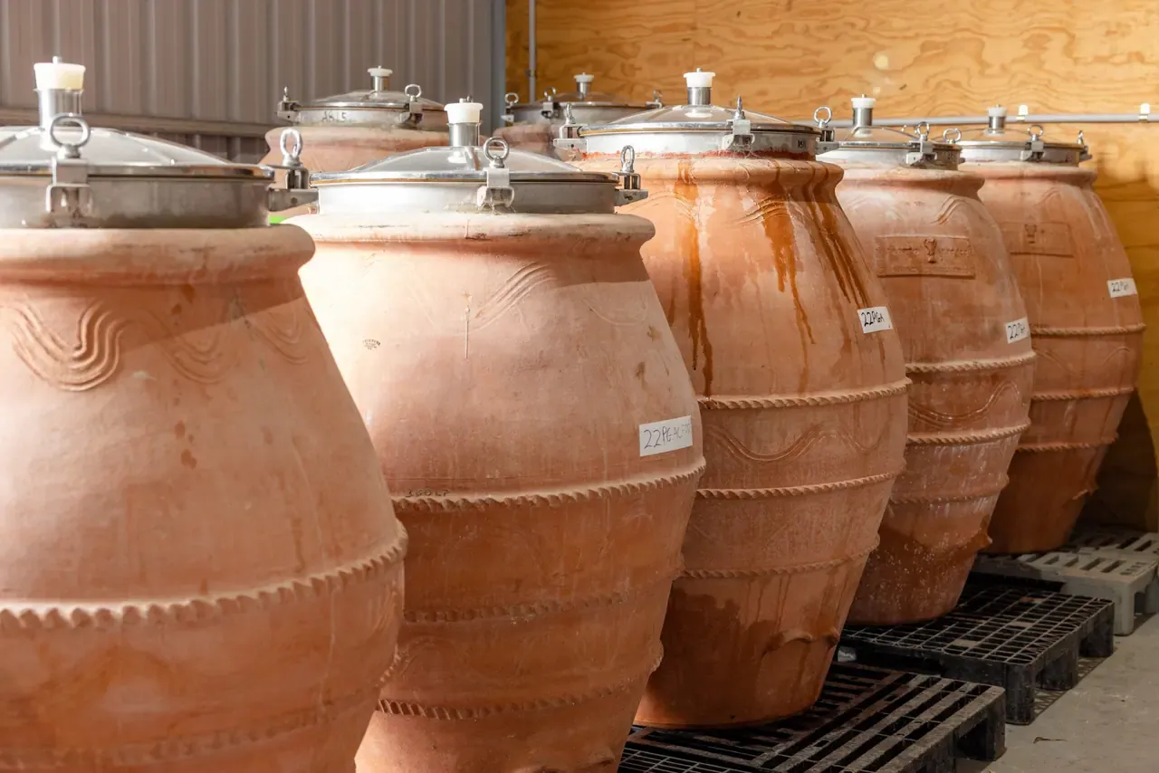 A row of large terracotta amphorae with steel lids used for ageing wine, standing on pallets in the Trofeo Estate winery