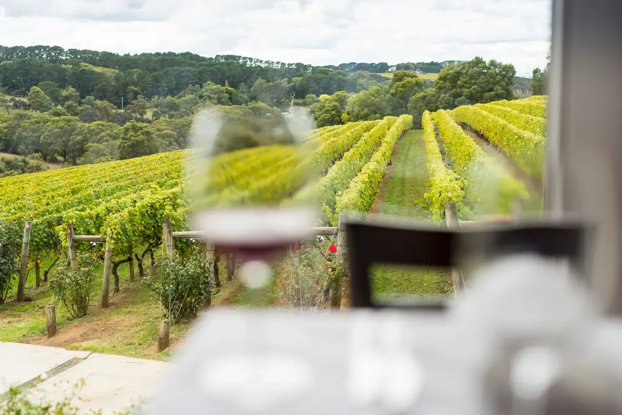 A view through a restaurant window over rows of vines and wooded hills at Paringa Estate, a wine glass blurred in front