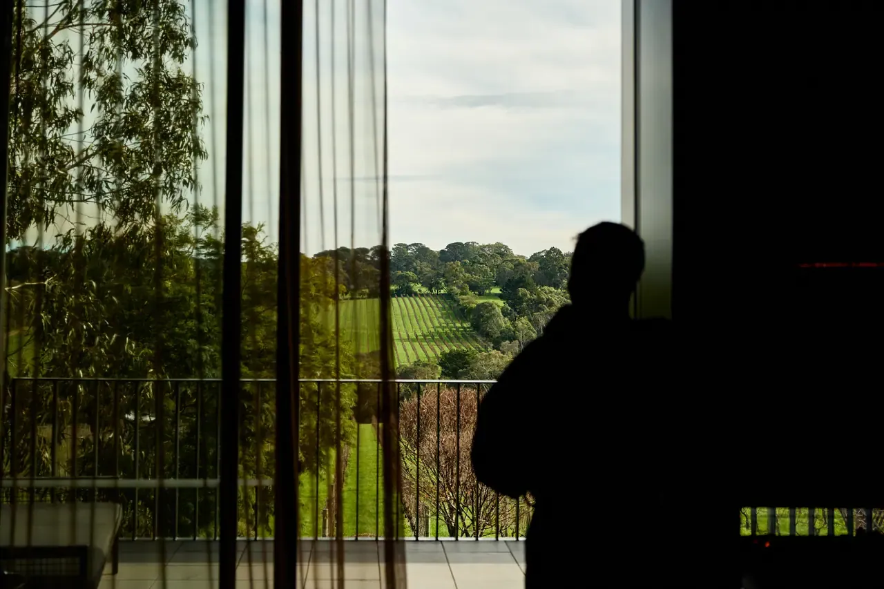 A silhouetted guest stands at a curtained window at Jackalope Hotel overlooking gum trees and vineyard rows