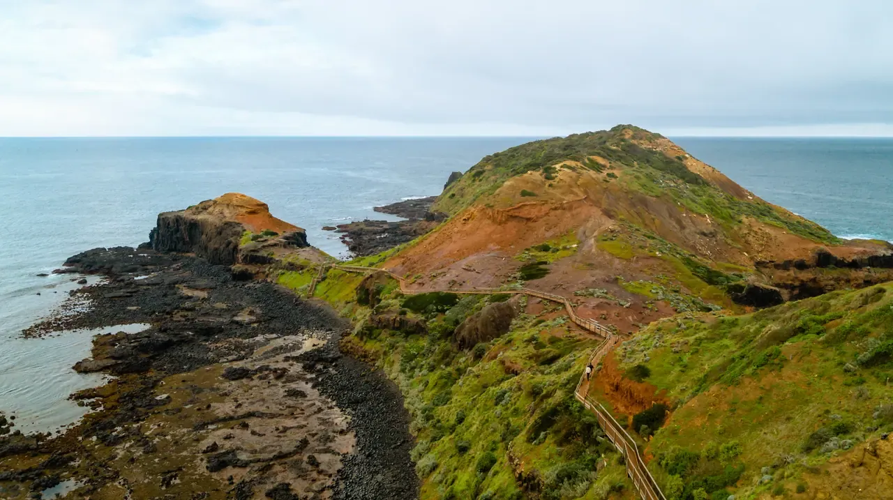 Aerial view of the Cape Schanck Boardwalk tracing a green and red ridge down to a basalt headland and rock platform
