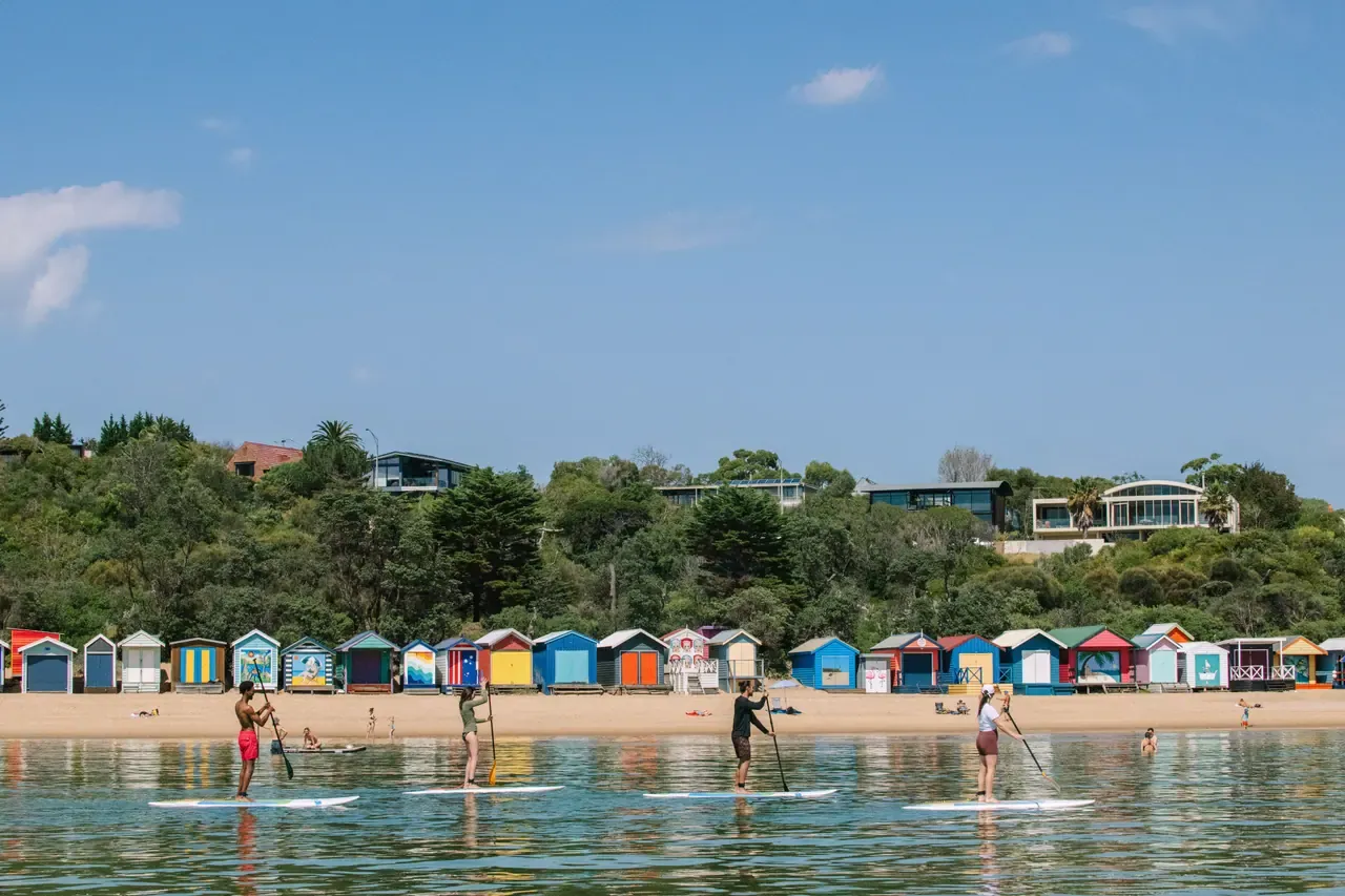 Four stand-up paddleboarders on calm water in front of a line of colourful bathing boxes and a tree-covered slope at Mornington