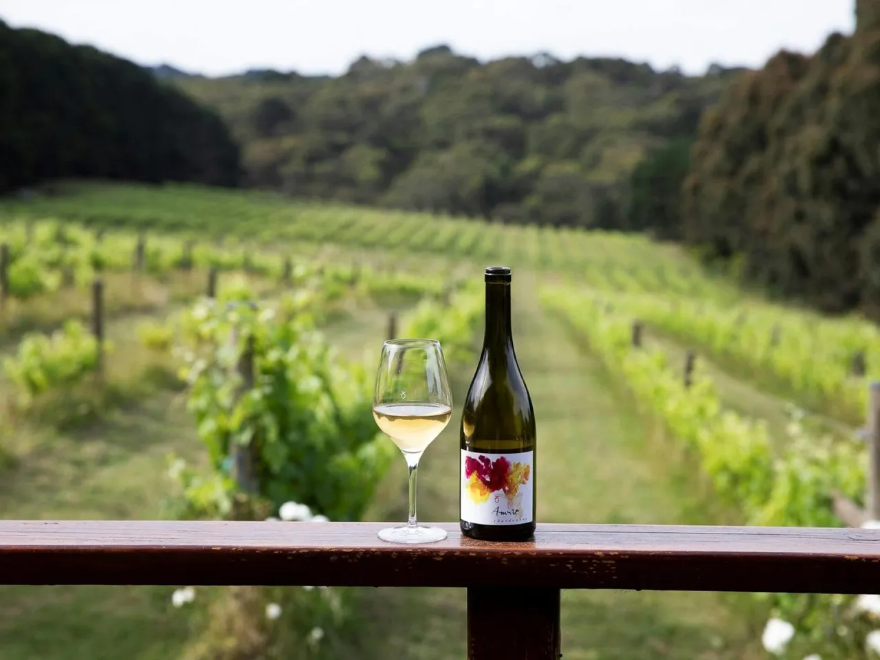 Avani Wines