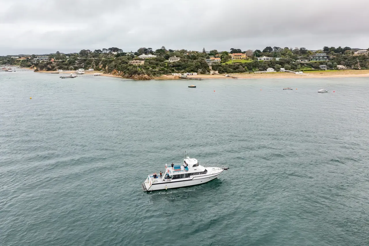 A white charter boat sits on grey-green bay water off a sandy shoreline lined with clifftop houses and trees