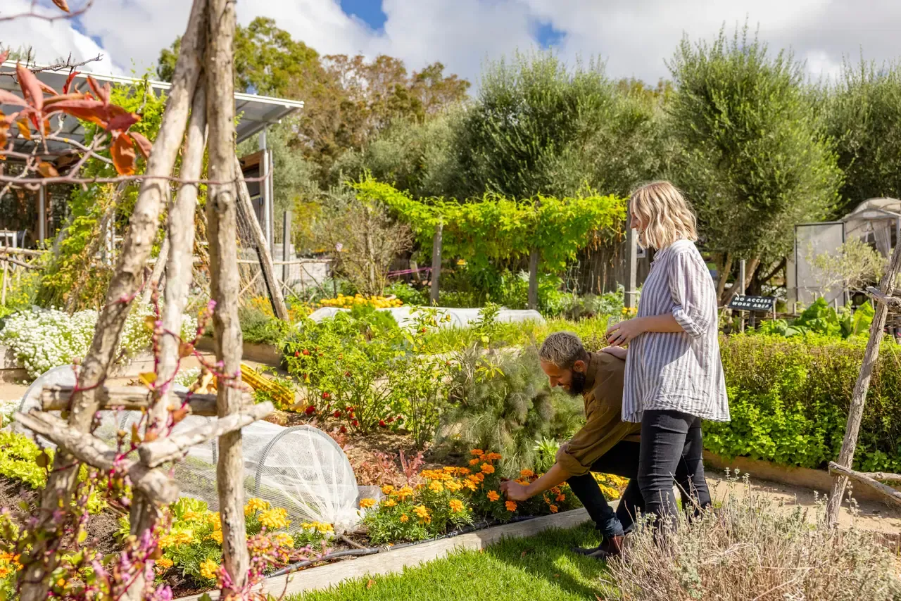 Two visitors crouch among marigolds in the kitchen garden at Montalto, with vine-covered pergolas and olive trees behind