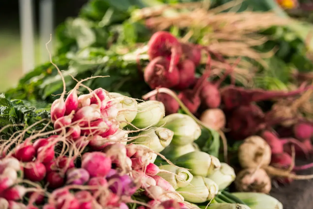 Bunched radishes, fennel bulbs and beetroot with leafy tops laid out on a farmers market table