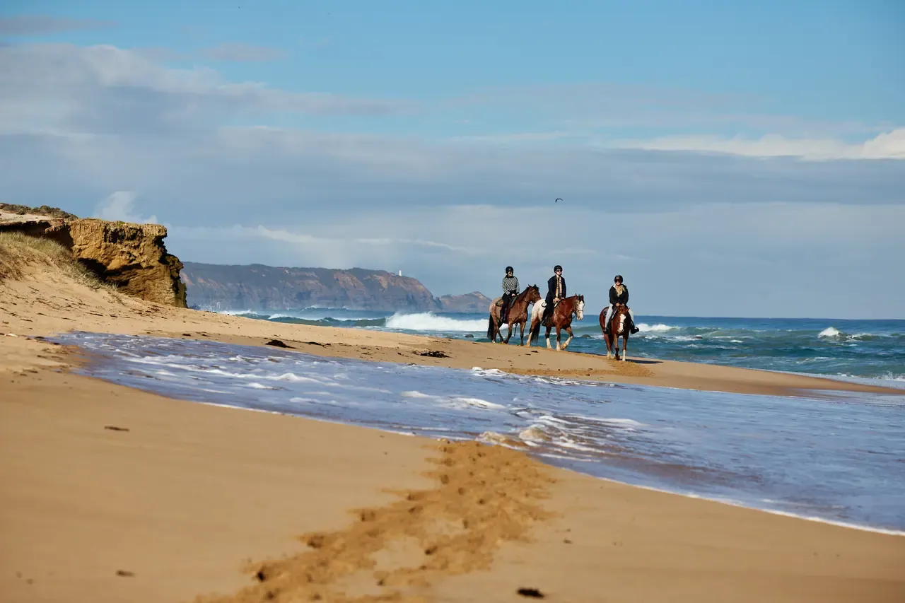Three riders on horseback walk along the shoreline of Gunnamatta Beach below sandstone cliffs, with the Cape Schanck headland beyond