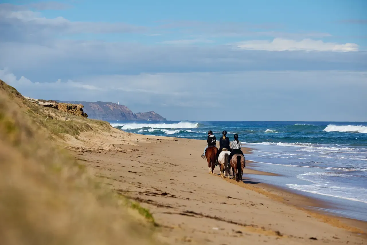 Three horse riders head along Gunnamatta Beach beside dune grass, with breaking surf and Cape Schanck headland in the distance