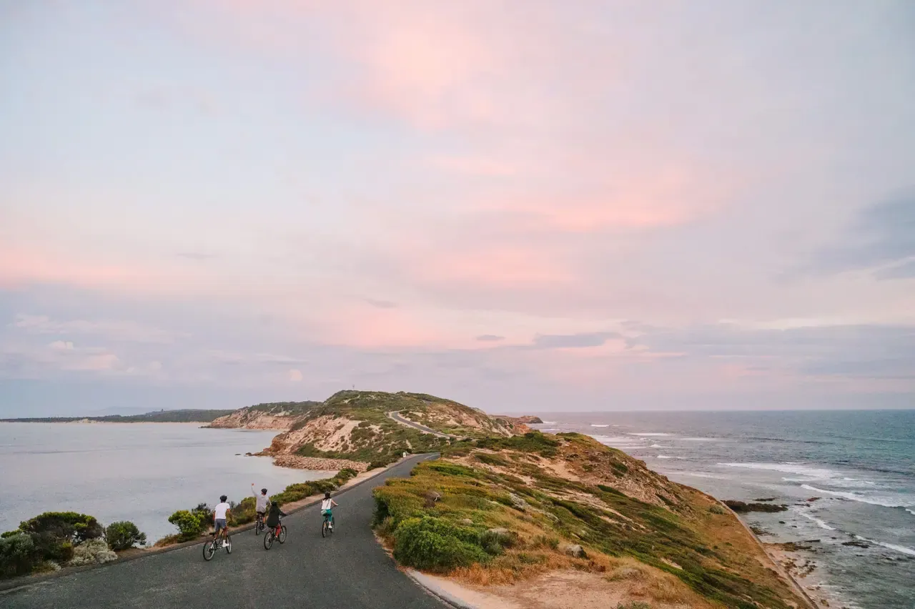 Four cyclists ride a narrow road along the Point Nepean headland under a pink evening sky, with the bay on one side and ocean on the other