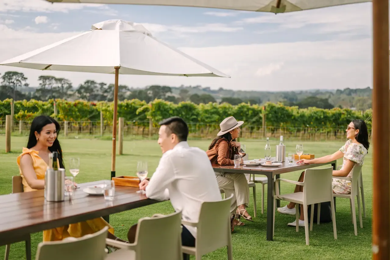 Guests dine at tables under white umbrellas on the lawn at Pt. Leo Estate, looking out over vineyard rows