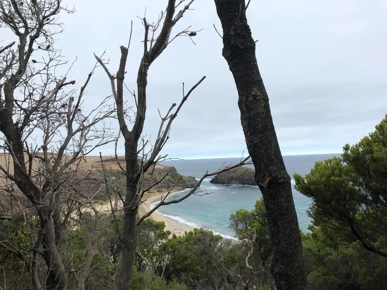 Two Bays Walking Track on the Mornington Peninsula - family-friendly tours