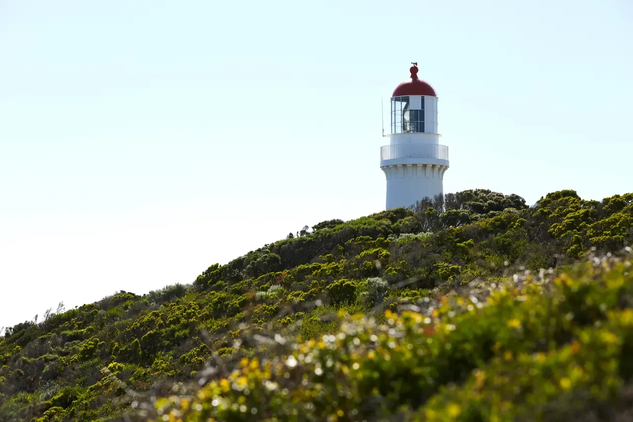 The white Cape Schanck lighthouse with its red lantern rising above a hill of coastal scrub against a pale sky
