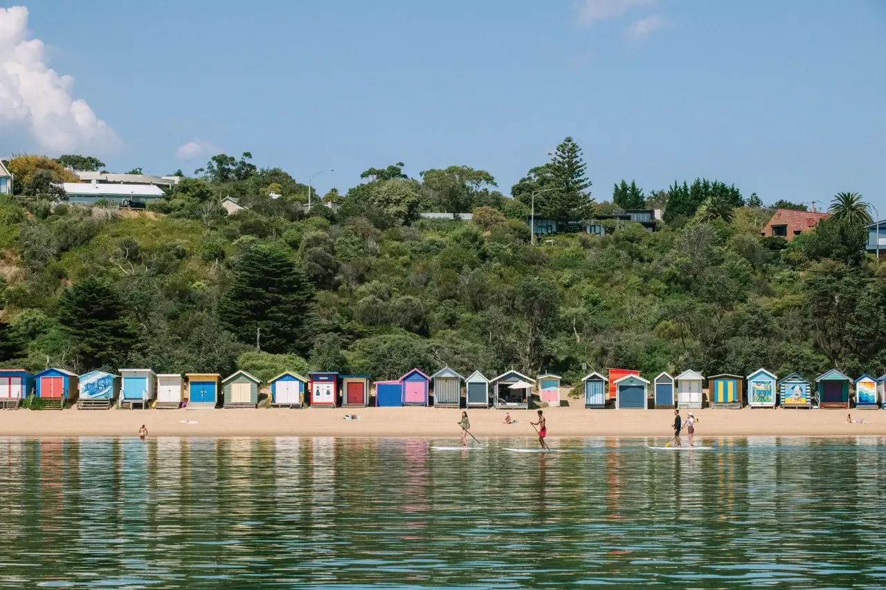 Paddleboarders in the shallows off a sandy beach lined with brightly painted bathing boxes beneath a leafy hillside at Mornington