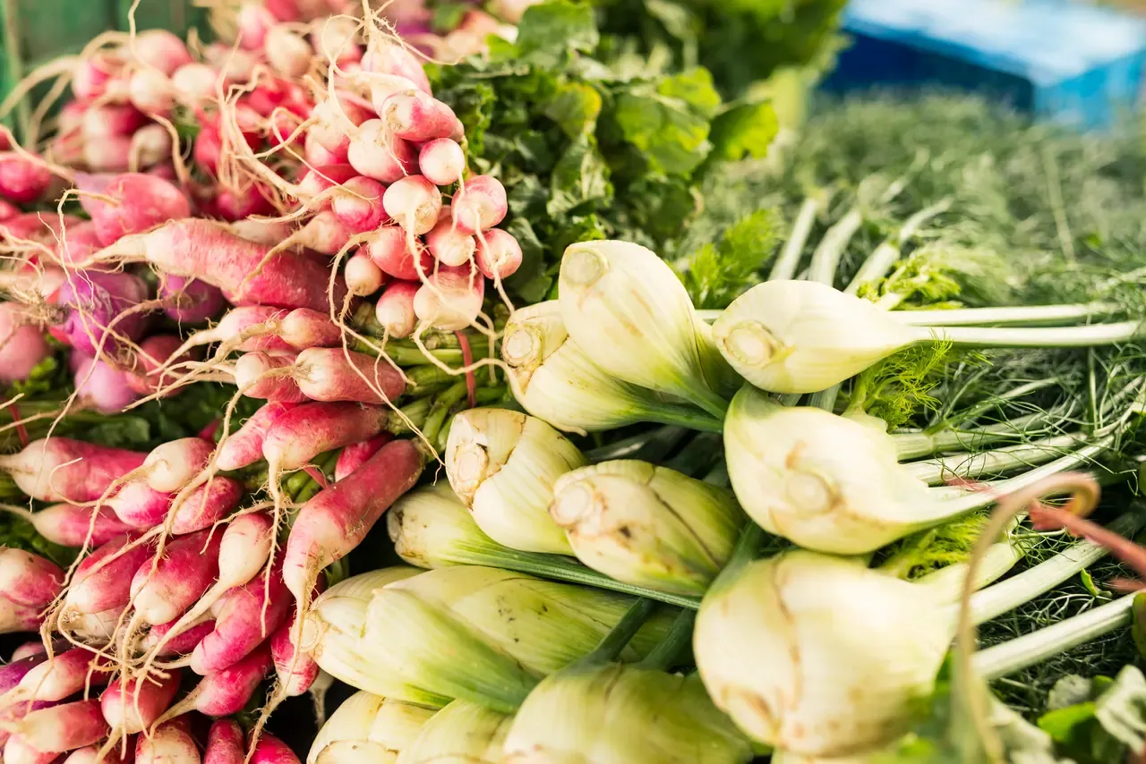 Bunches of pink and white radishes stacked beside fennel bulbs with feathery fronds on a market stall