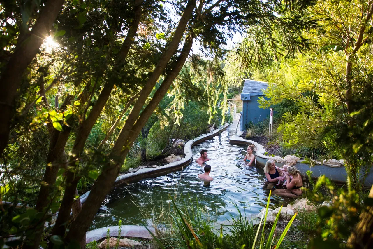 Bathers relax in a winding rock-edged thermal pool under a canopy of trees at Peninsula Hot Springs, with sunlight through the leaves