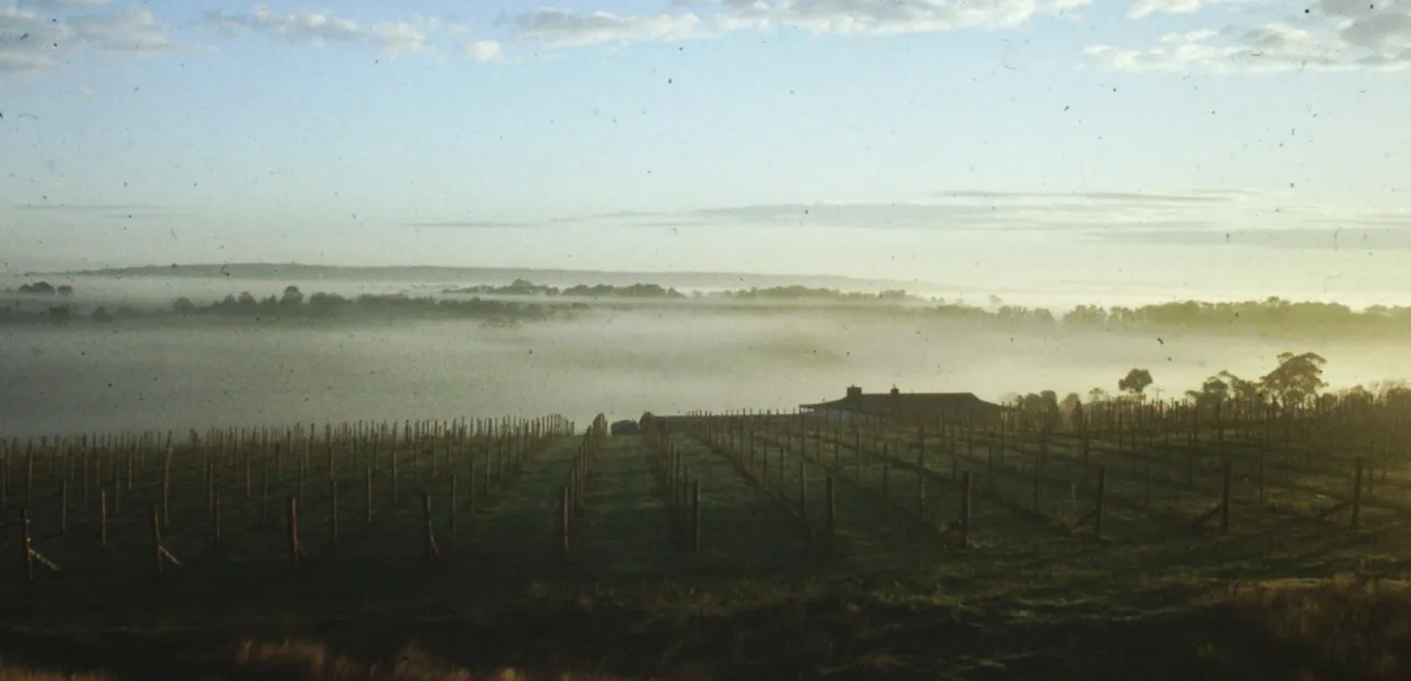 Moorooduc Estate