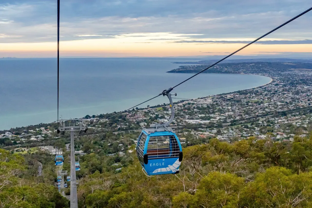 An Arthurs Seat Eagle gondola descends over bushland towards the bayside suburbs and Port Phillip Bay at dusk
