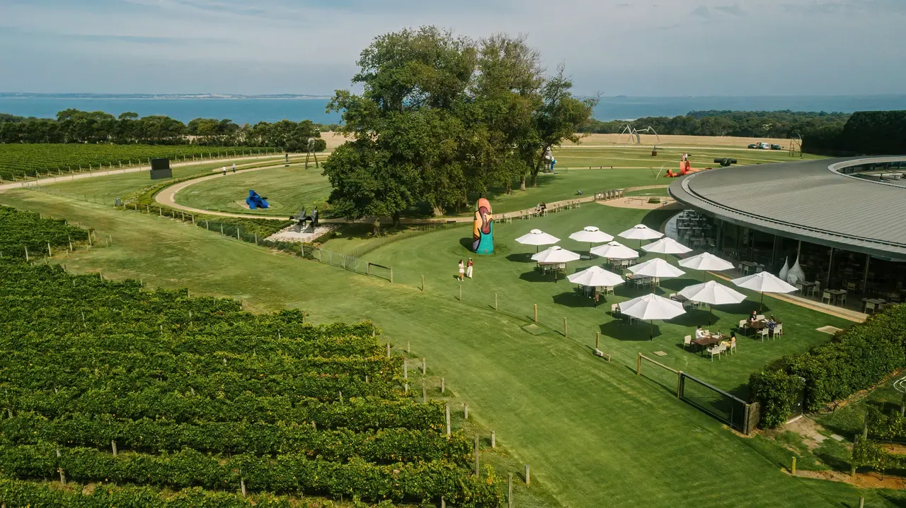 Rows of vines leading up to the curved Pt. Leo Estate restaurant, with white umbrellas on the lawn, sculptures and the sea beyond