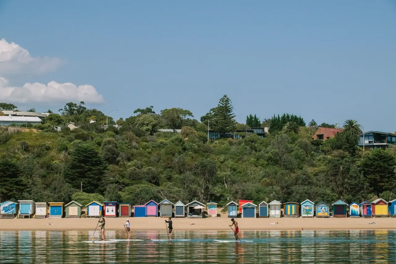 Four stand up paddleboarders glide across calm water in front of a row of colourful bathing boxes and a green hillside at Mornington