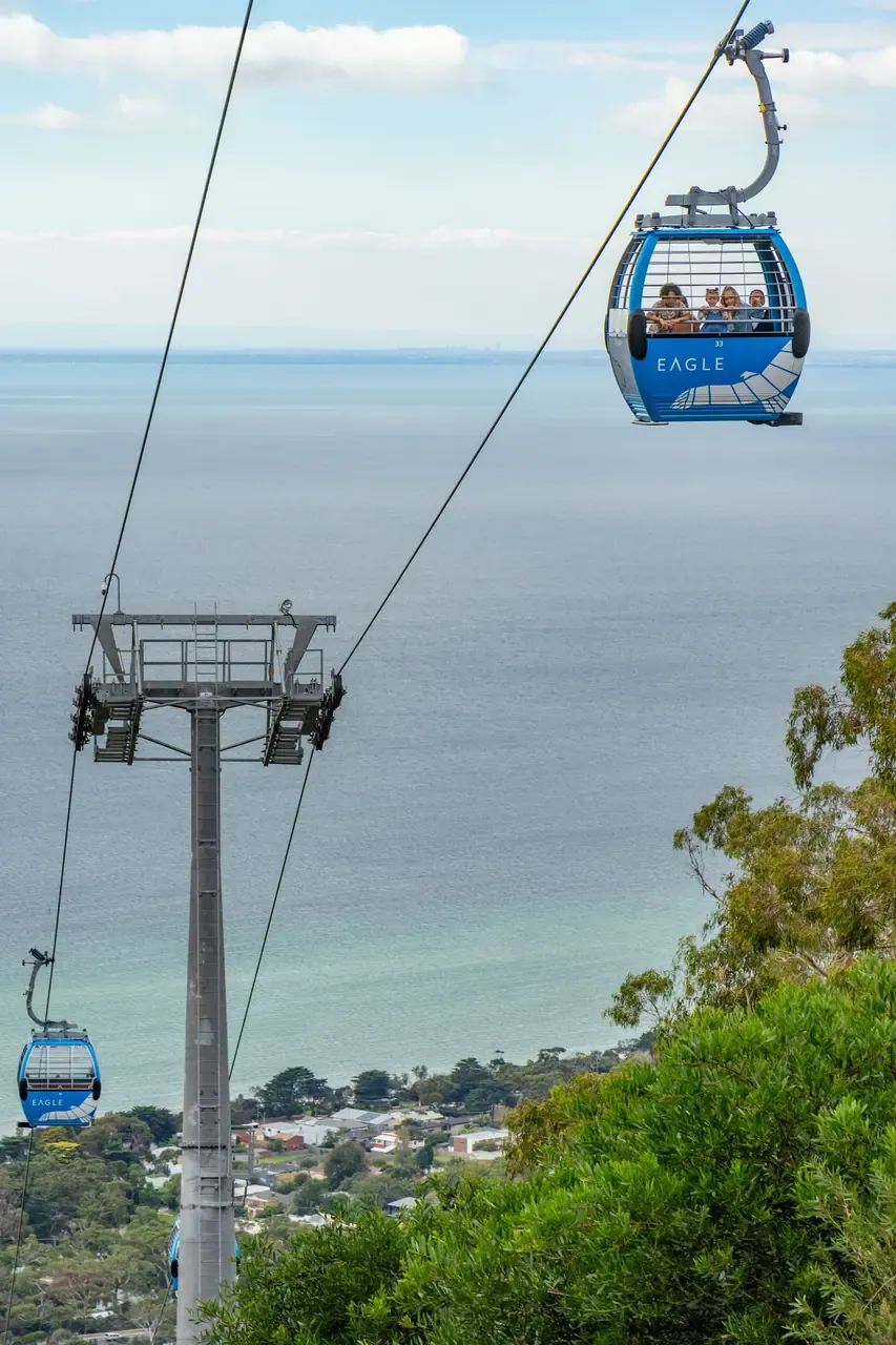 A family rides an Arthurs Seat Eagle gondola past a cable tower, high above the bay and the rooftops of the coast