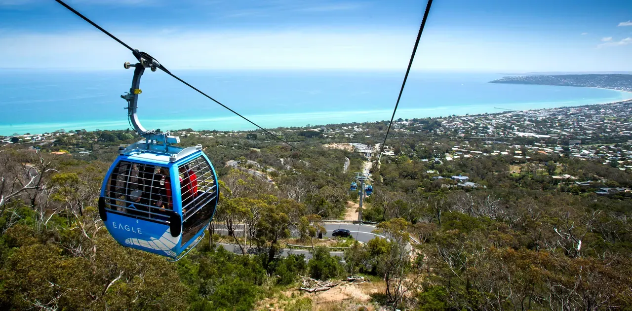 Riders in an Arthurs Seat Eagle gondola above bushland, with the turquoise bay and coastline stretching behind