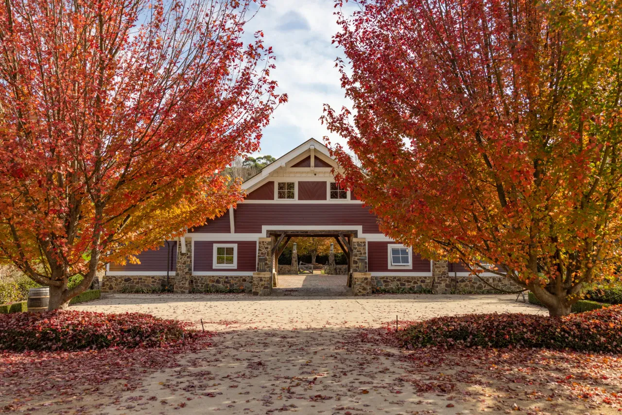 Red-leaved autumn trees frame a gravel path leading to the timber cellar door building at Ocean Eight Vineyard