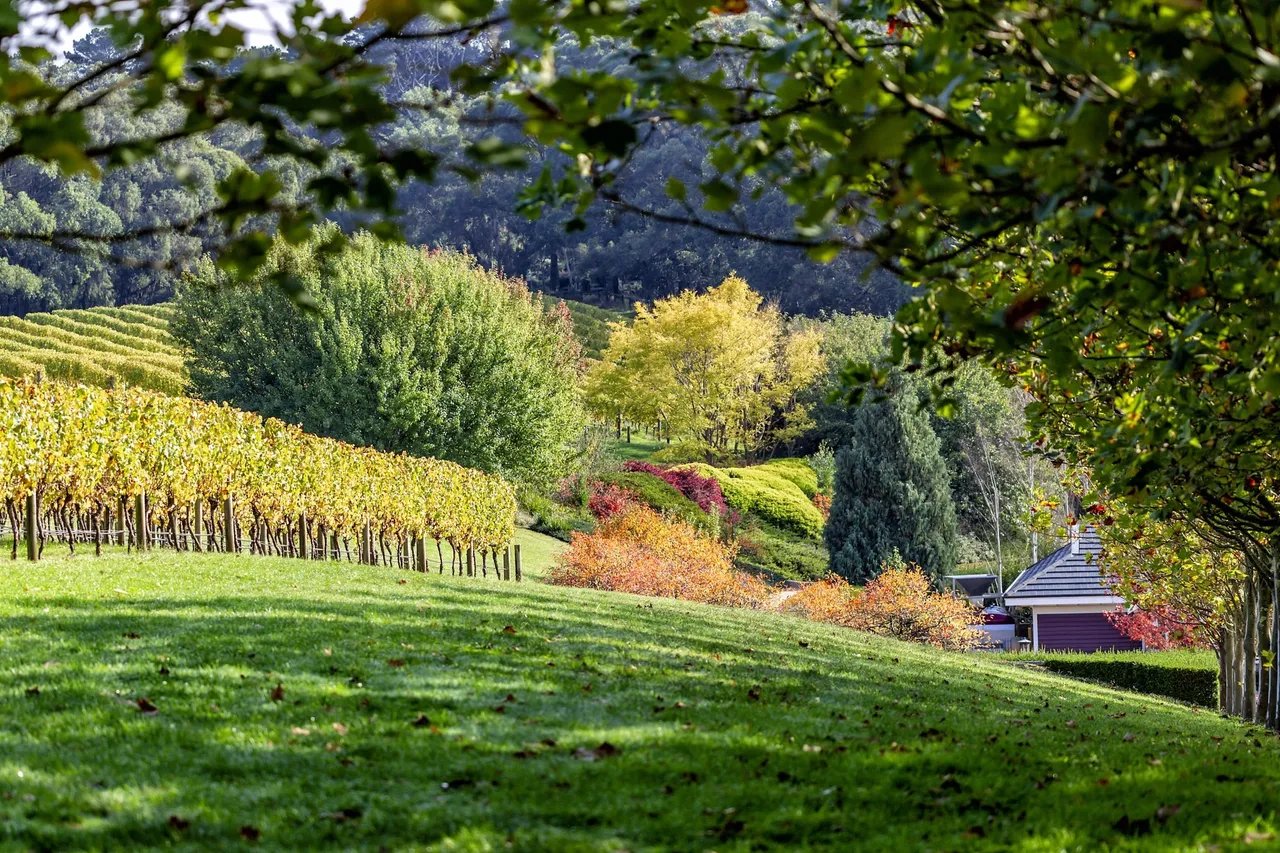 How to Plan a Peninsula Weekend: The Decision Framework