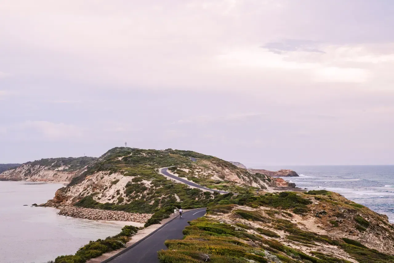 A lone cyclist on the road along the narrow Point Nepean headland, with calm bay water on one side and surf on the other