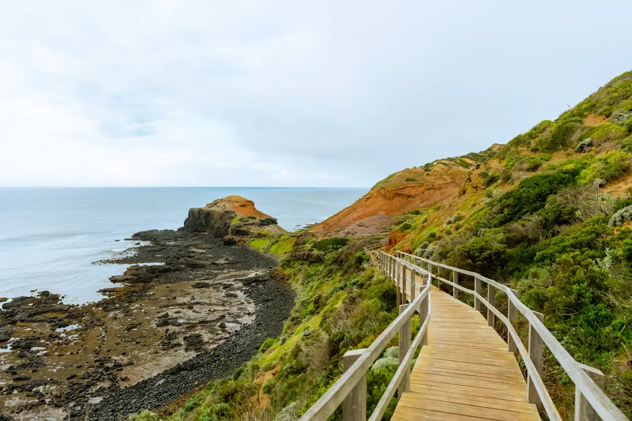 A timber boardwalk winds down a green hillside towards a rocky basalt shore and headland at Cape Schanck