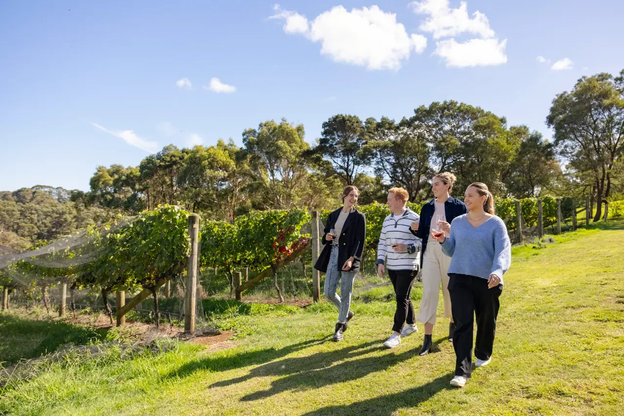 Four friends holding glasses of wine walk along a grassy path beside vine rows at Green Olive at Red Hill on a clear day