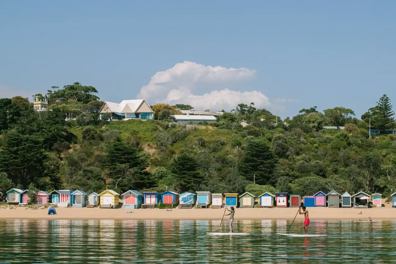Two stand up paddleboarders pass a line of colourful bathing boxes at Mornington, with houses on the hill above the beach