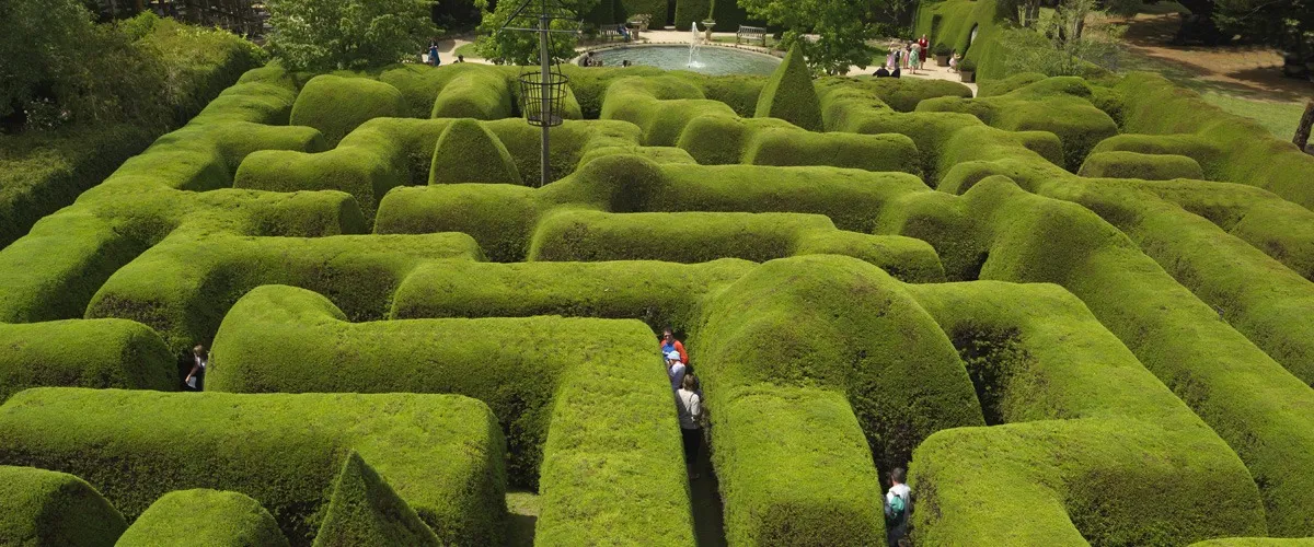 Ashcombe Maze & Lavender Gardens