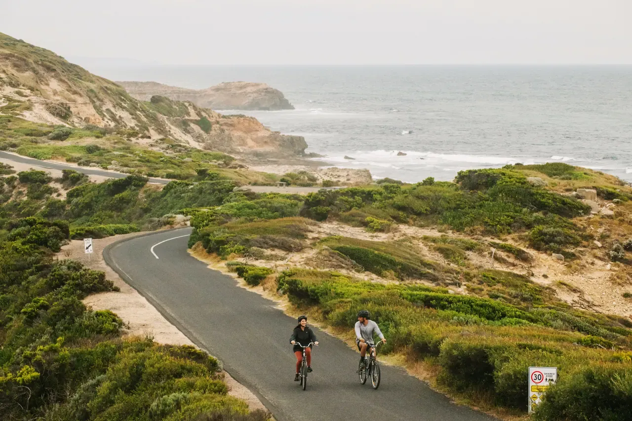 Two cyclists ride up a curving road through coastal heath at Point Nepean, with rocky headlands and the open sea behind