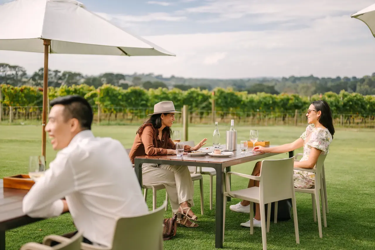 Guests talk over wine at outdoor tables on the lawn at Pt. Leo Estate, with a sunshade overhead and vineyard rows behind