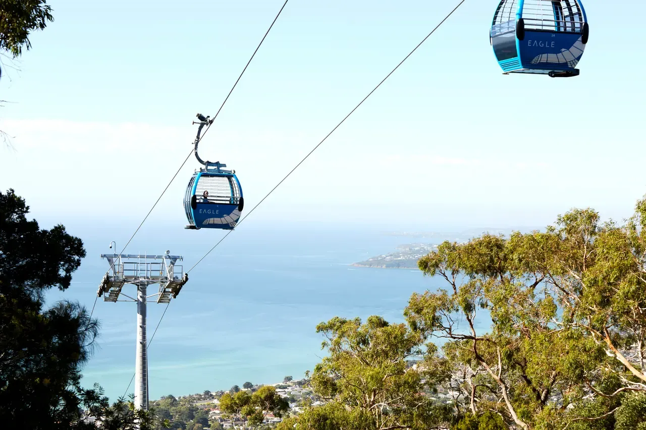 Two Arthurs Seat Eagle gondolas glide on cables above gum trees, with Port Phillip and the coastline below