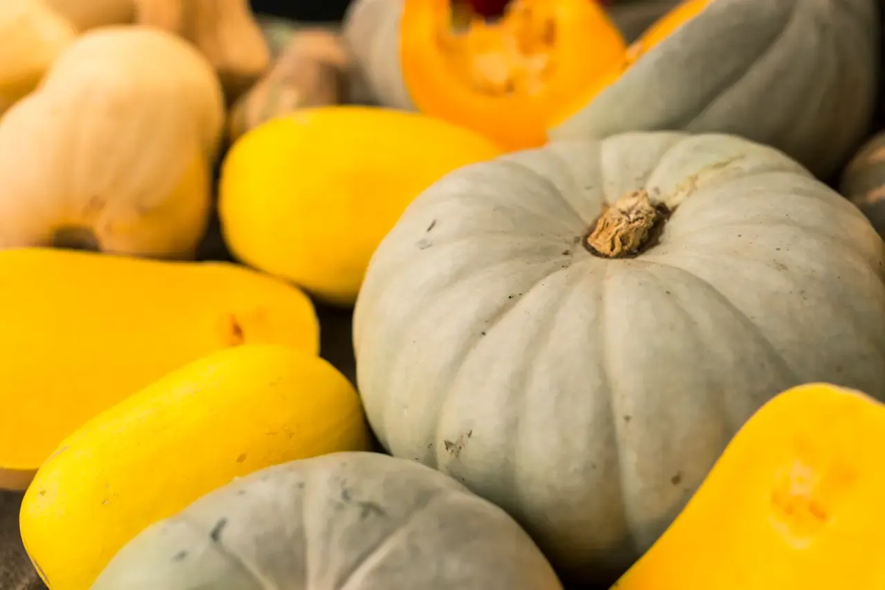 Pale blue-grey pumpkins piled with yellow squash and cut butternut pumpkin on a farmers market stall