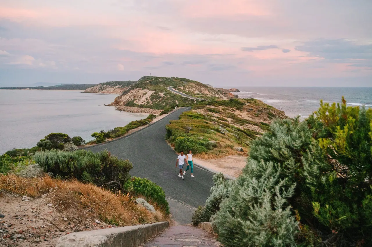 Two walkers on the sealed road to Fort Nepean as it winds along the narrow headland between bay and ocean under a pink sky