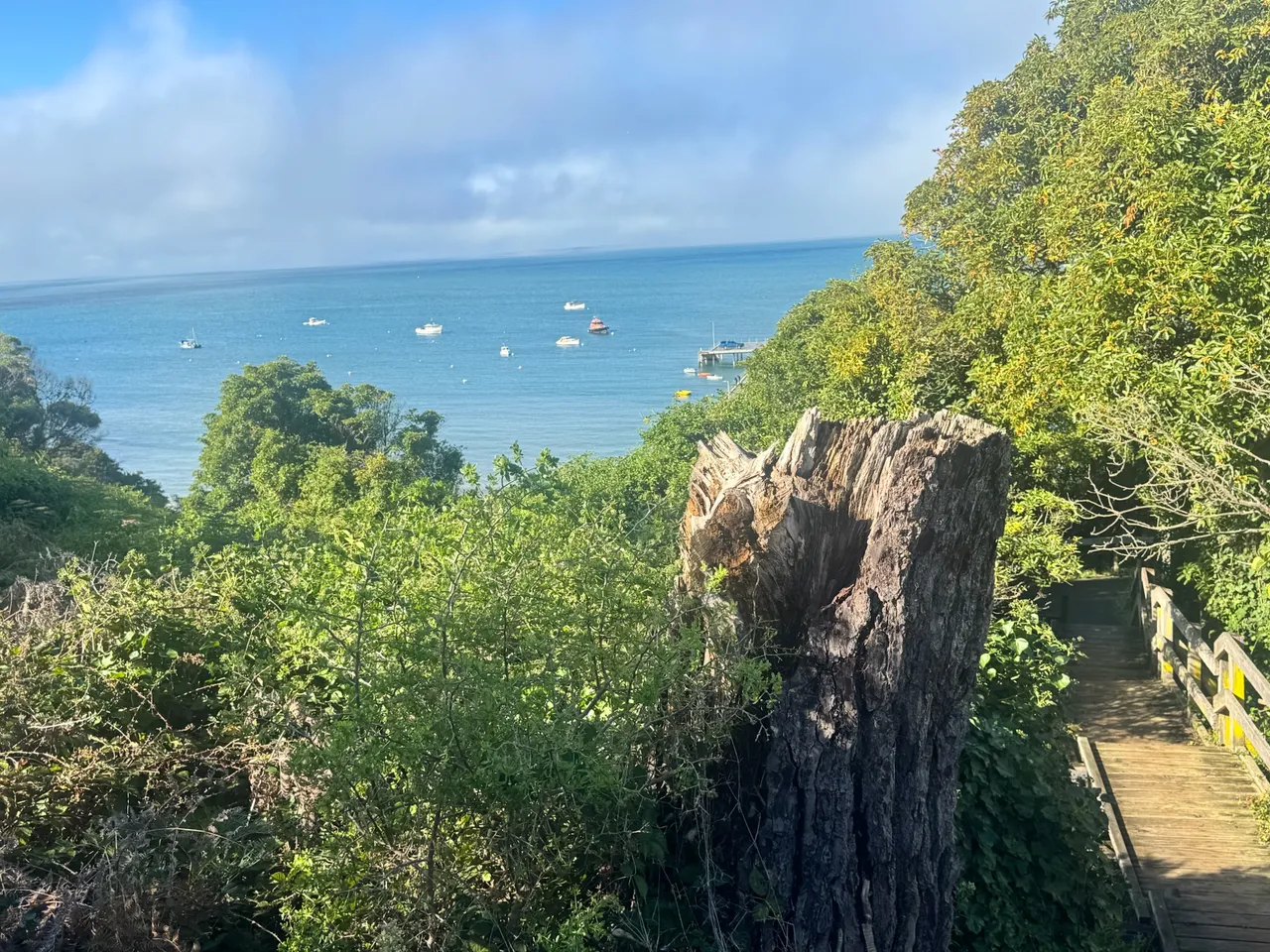 Portsea front beach on the Mornington Peninsula - family coastal adventure weekend