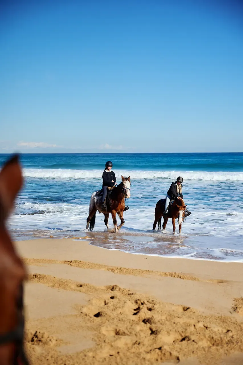 Two riders walk their horses through the shallows at Gunnamatta Beach beneath a wide blue sky, a horse's ear blurred in front