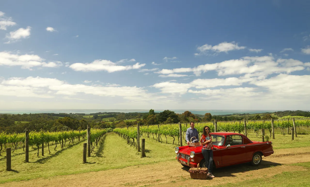 Kerri Greens in spring, the Olivers Hill bluff walk, and VIRAL Food Festival this weekend