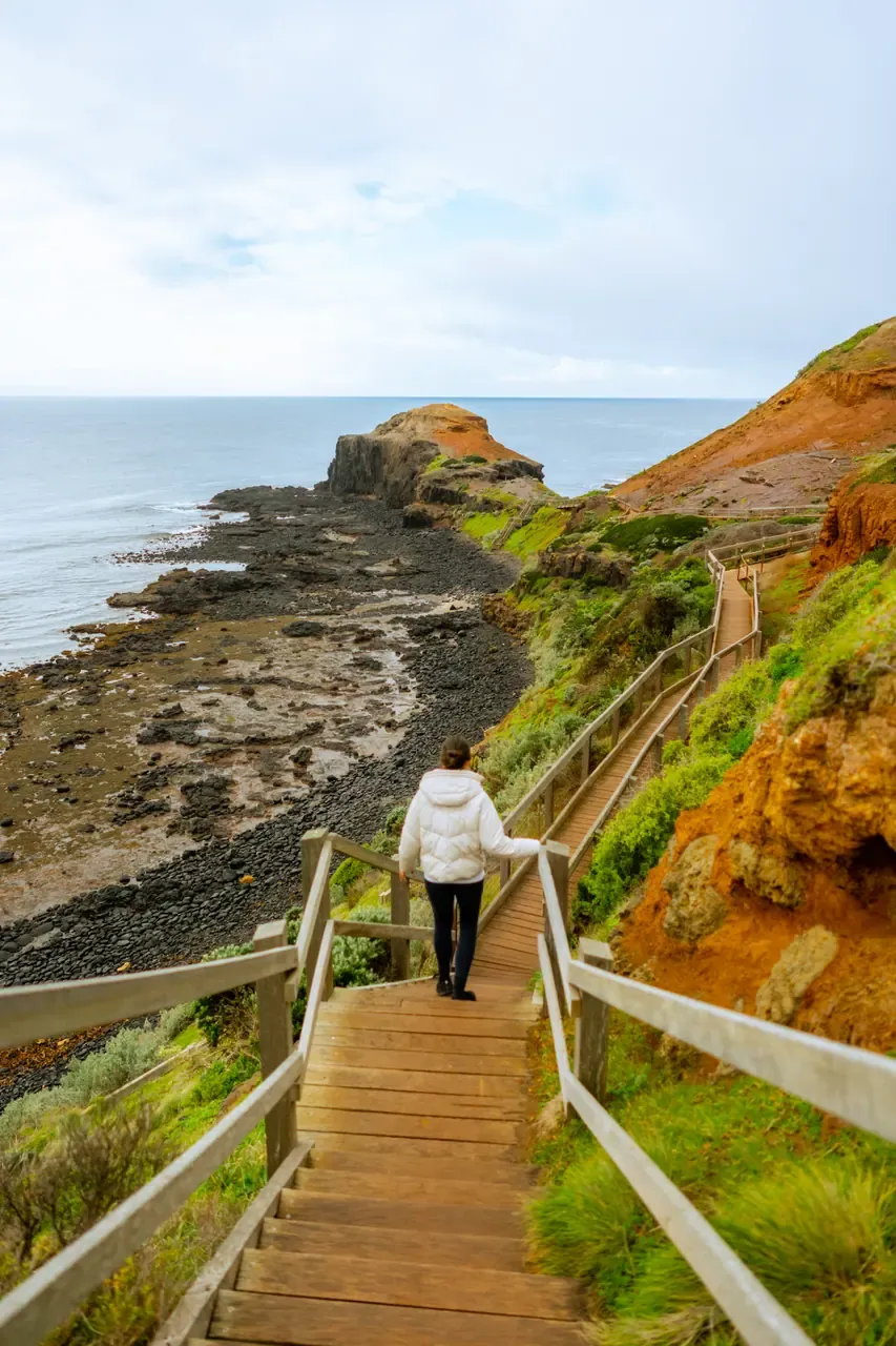 A walker in a white jacket descends the timber steps of the Cape Schanck Boardwalk towards a rocky shore and a headland