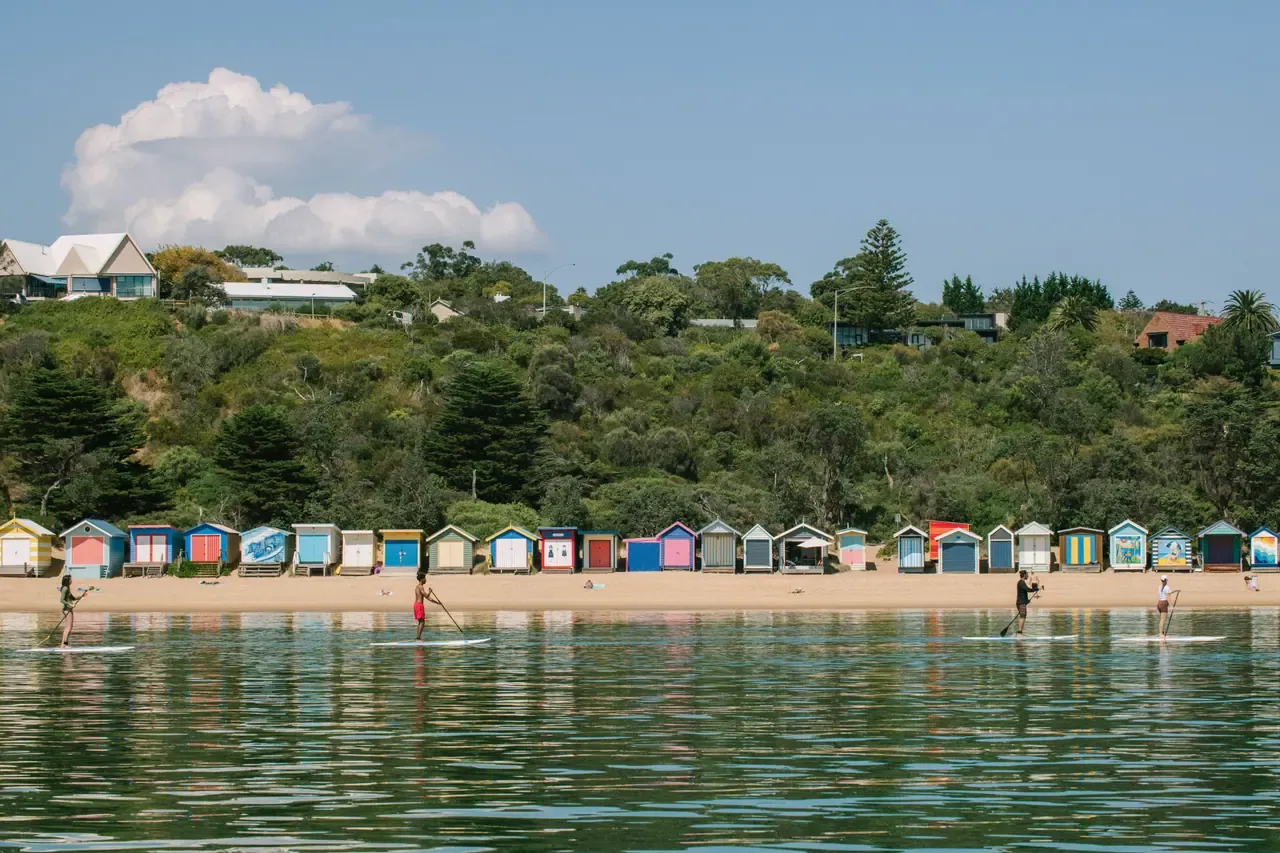 Paddleboarders spread out on flat water off a Mornington beach lined with painted bathing boxes below a bushy hillside