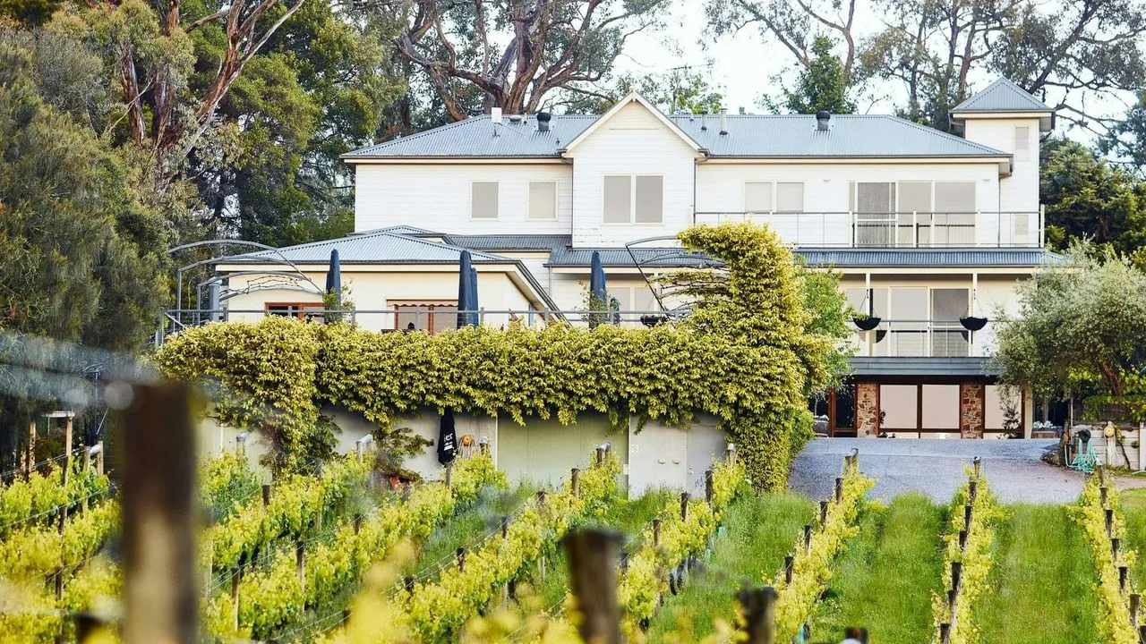 Morning Sun Vineyard
