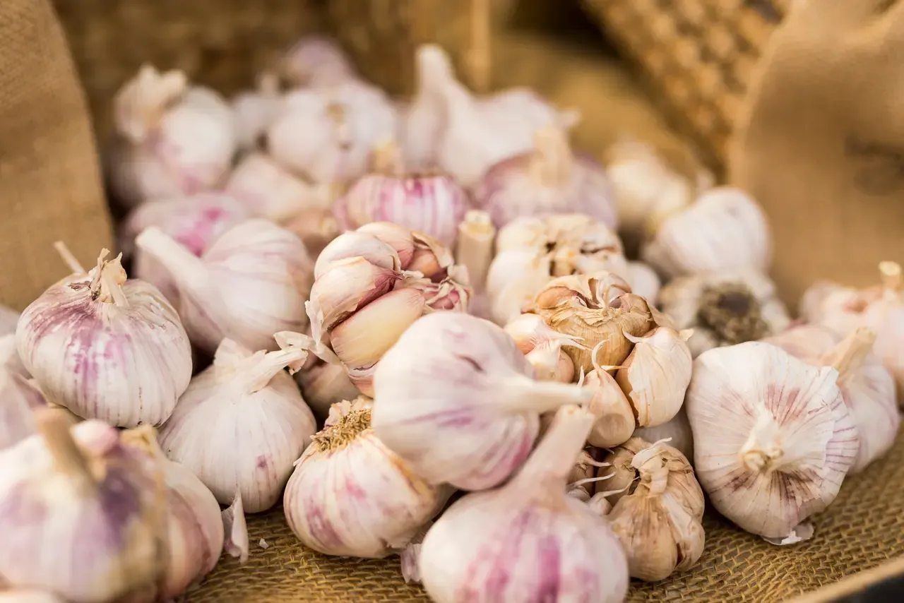 A woven basket heaped with purple-streaked garlic bulbs on a stall at Mornington Farmers Market