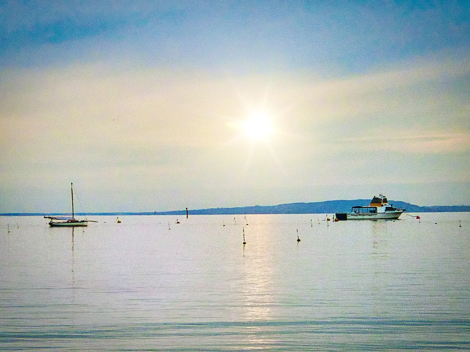 Mornington Peninsula landscape — representative image for T'Gallant