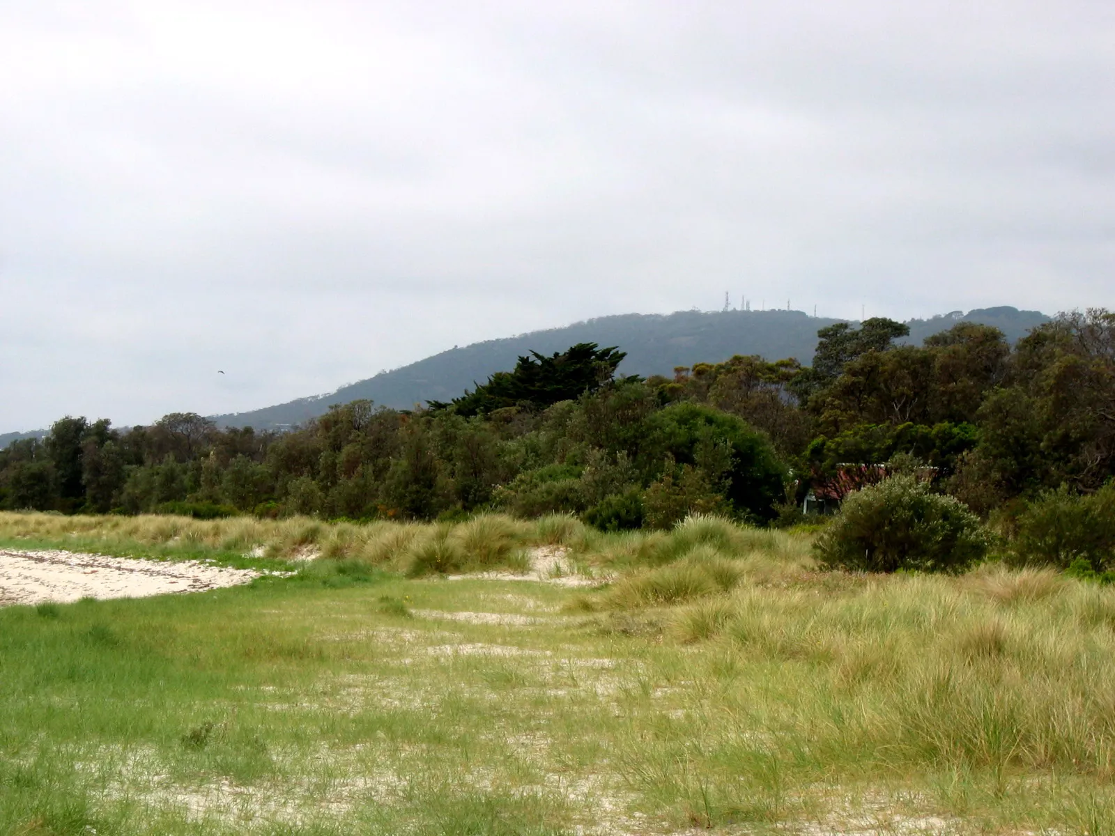 A family on a grass slope above Port Phillip Bay on a bright autumn afternoon