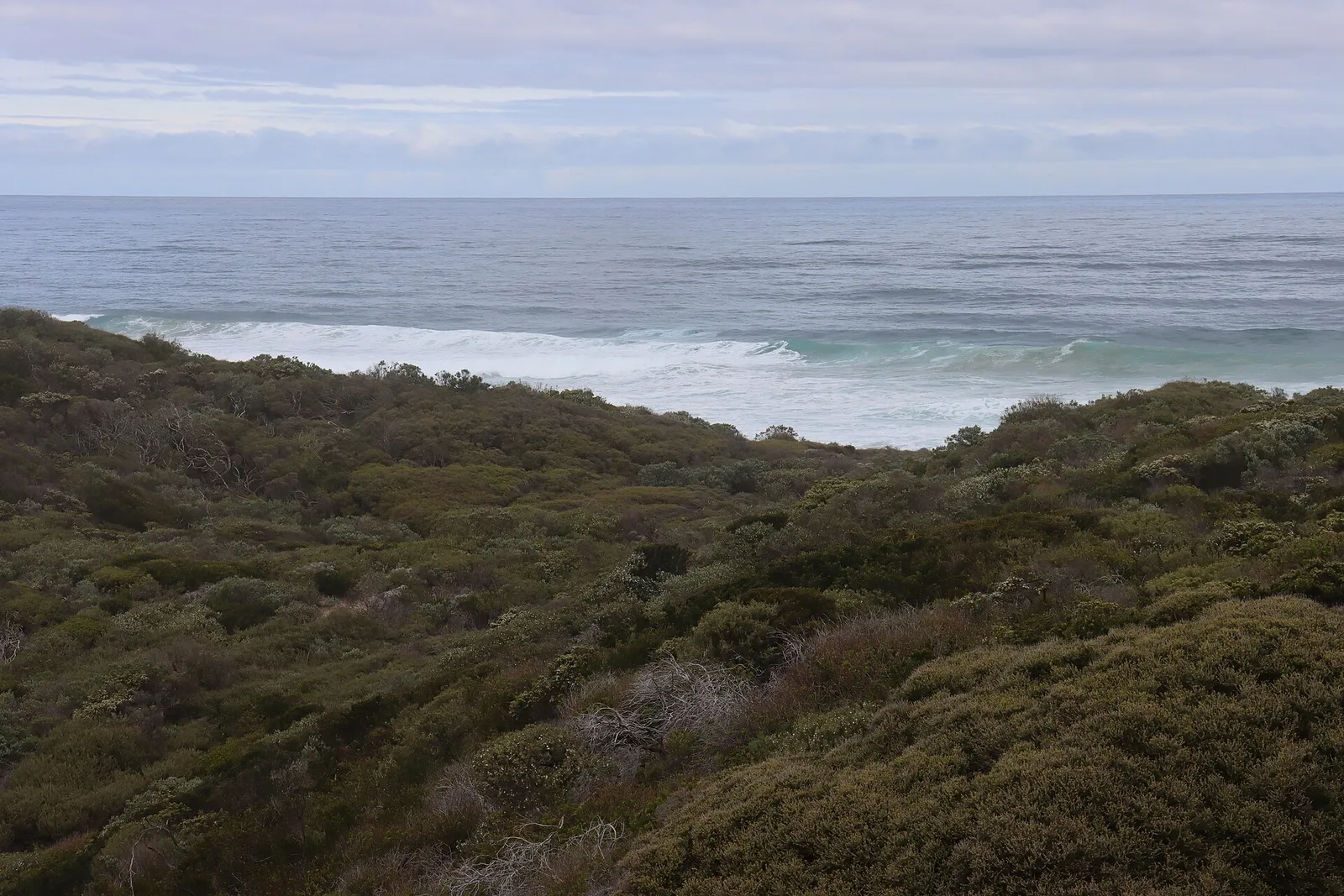 Defensive batteries at Point Nepean with the Rip and the Bellarine Peninsula in the distance