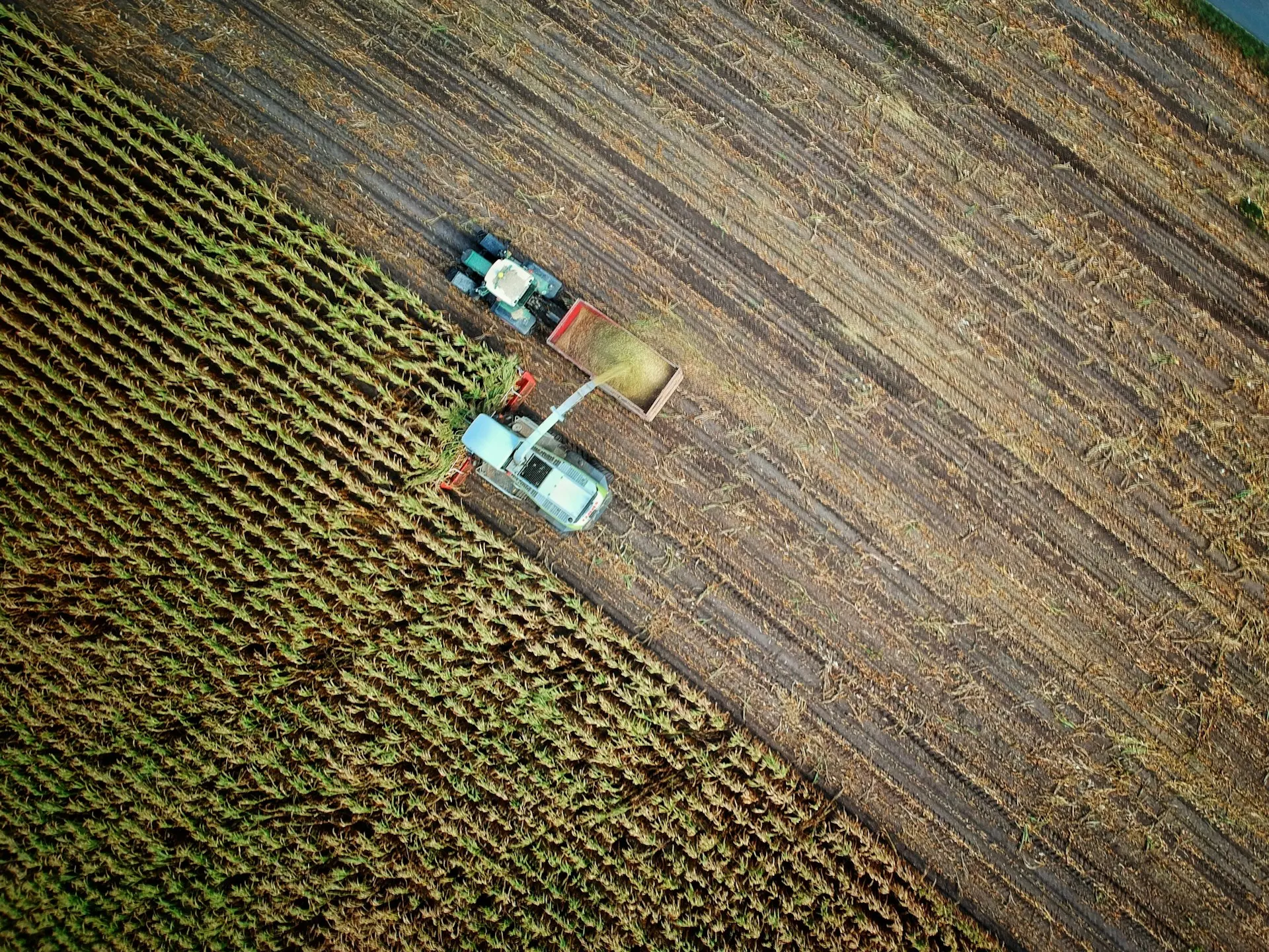 Local farm produce harvest on the Mornington Peninsula