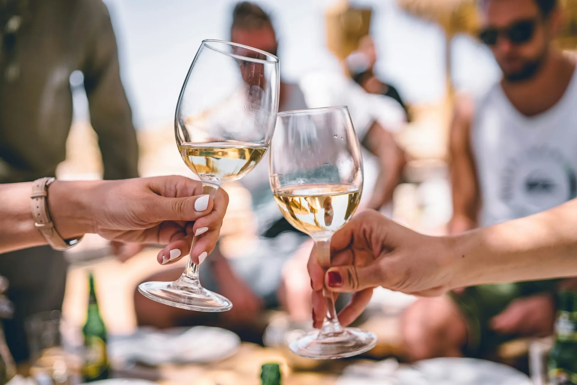 Mornington Peninsula vineyard rows in wine country