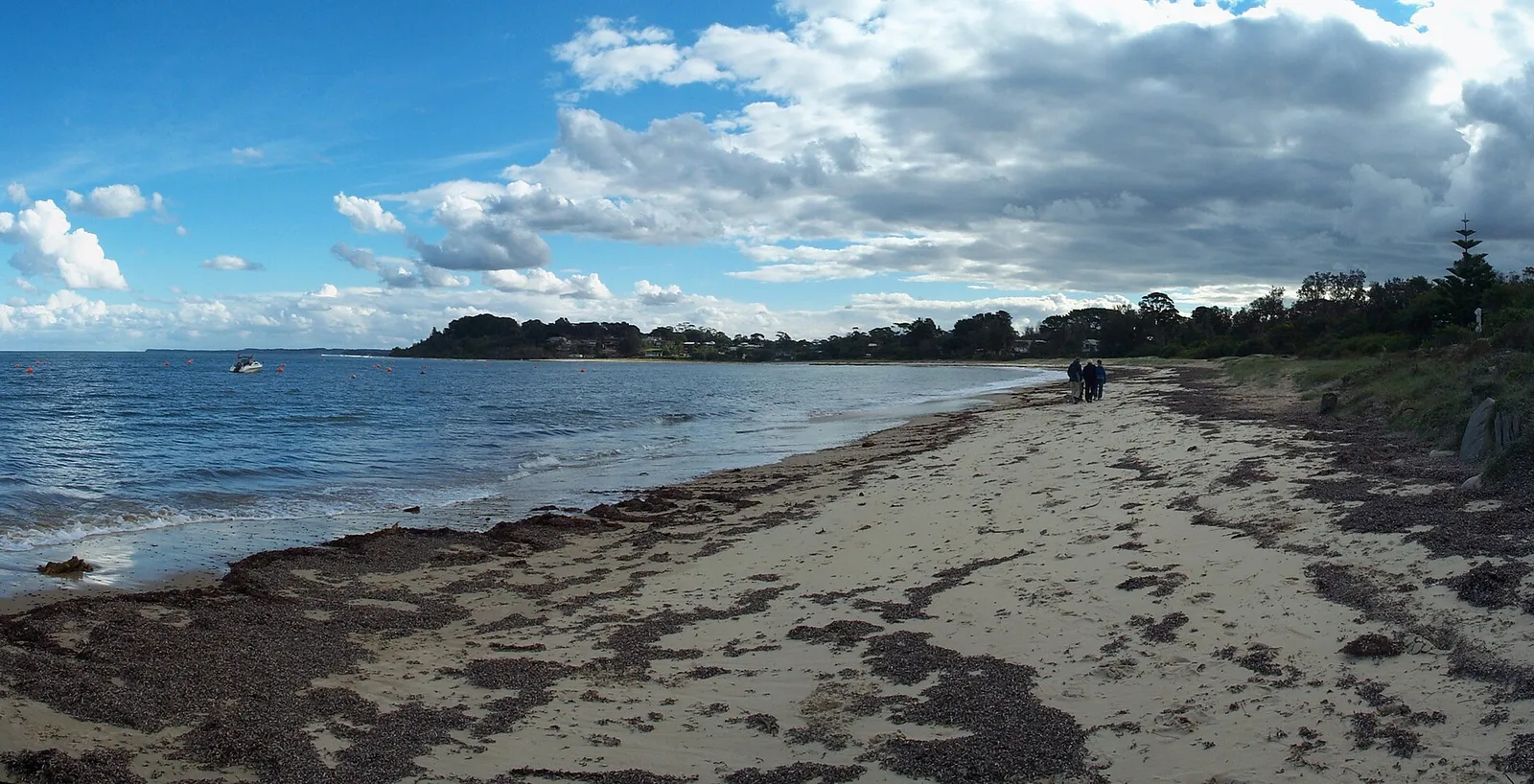 Balnarring Beach sands and ti-tree backing dunes on Western Port