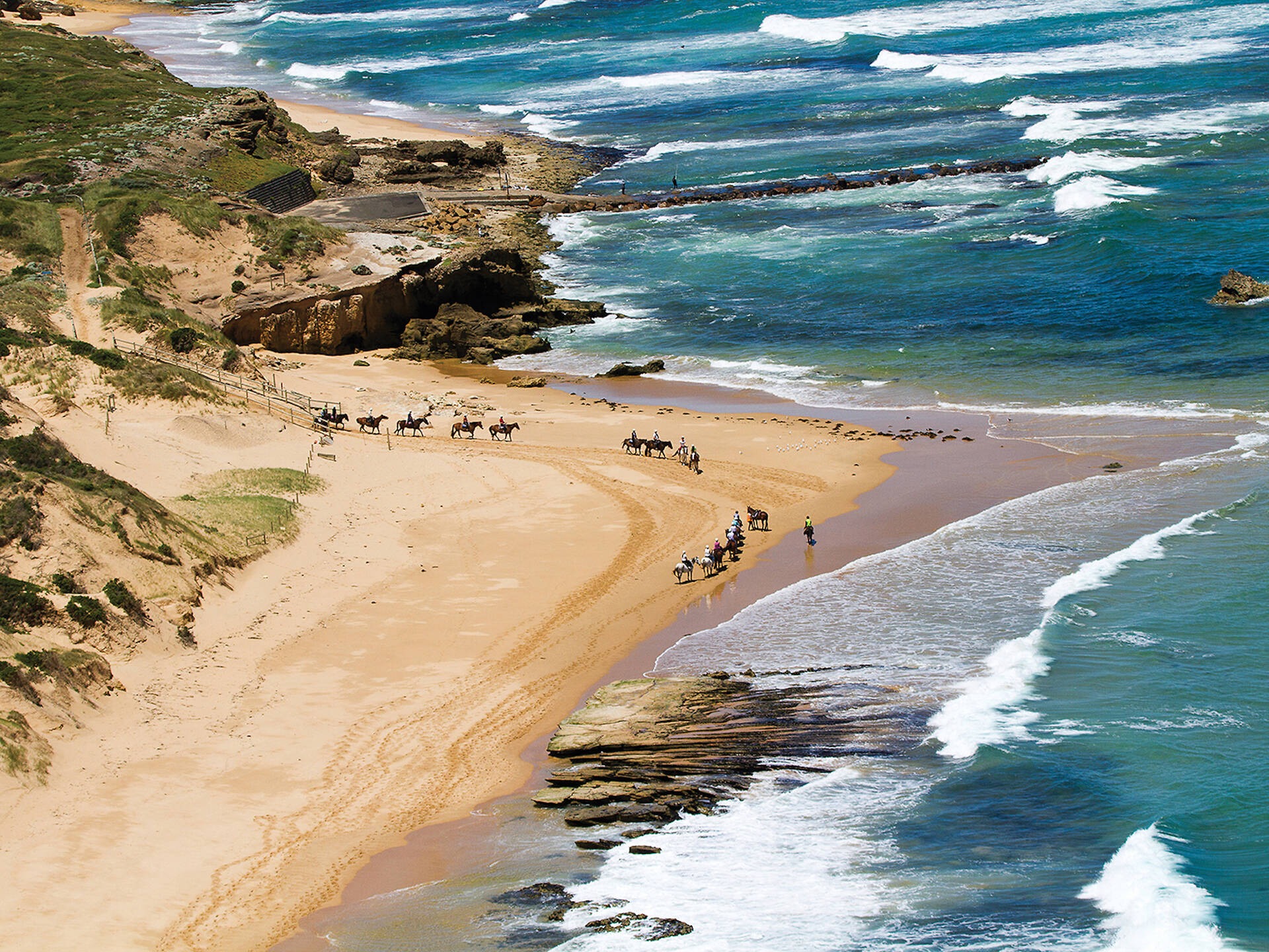 Horses on a Peninsula ocean back beach, Bass Strait in the background